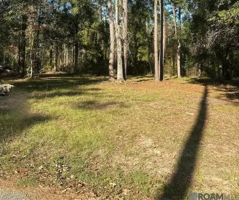 31581 River Pines Dr, Springfield, LA 70462 photo 2