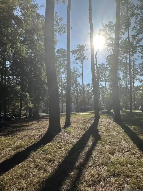 31581 River Pines Dr, Springfield, LA 70462 photo 3