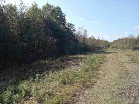 Rue Orleans, Livingston, LA 70744