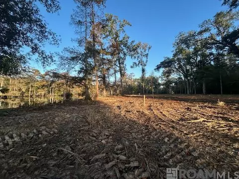 14251 Old River Rd, Maurepas, LA 70449