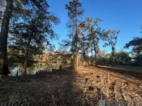 14269 Old River Rd, Maurepas, LA 70449