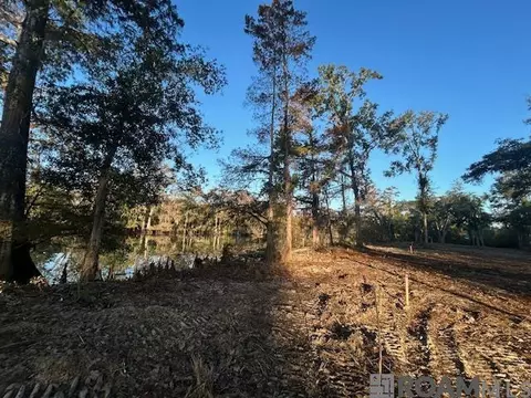 14305 Old River Rd, Maurepas, LA 70449
