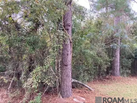 lot13 14 Lucien St, Denham Springs, LA 70726