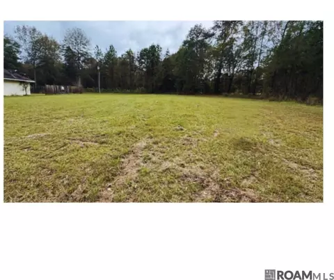 tbd Felix Lee Rd, Ethel, LA 70737