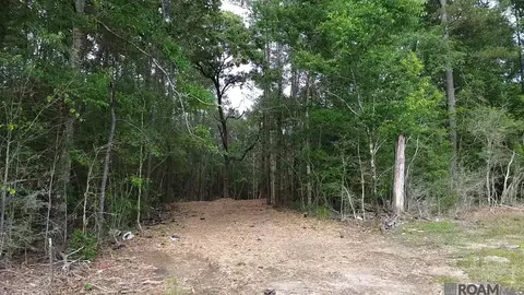83166 Isabel Swamp Rd, Bush, LA 70431