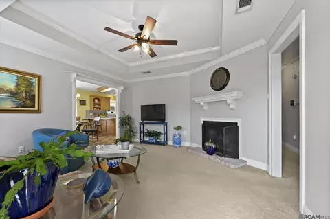 Other - 13459 Prairie Ln, Walker, LA 70785 photo 3 of 6