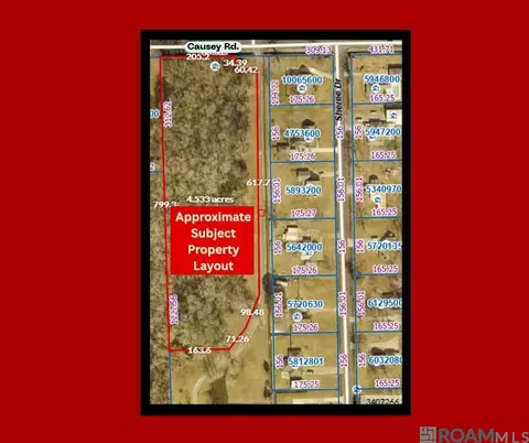 40175 Causey Rd, Prairieville, LA 70769