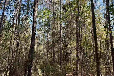 02 Hwy 1046, Amite, LA 70442