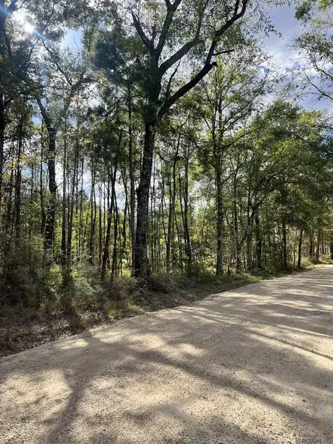 lot53 Nesom Rd, Denham Springs, LA 70706