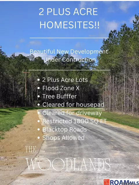 lot24 Copper Pass, Livingston, LA 70754