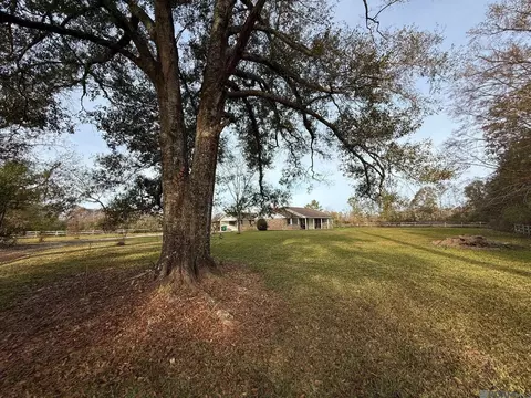 18565 Aydell Ln, French Settlement, LA 70733