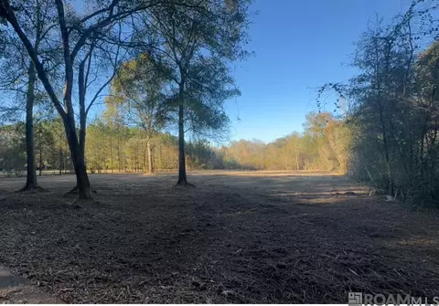 tbd Robinson Rd, Folsom, LA 70437