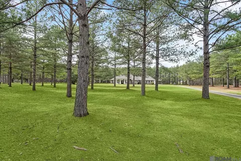 15182 Sterling Smith Rd, Roseland, LA 70456