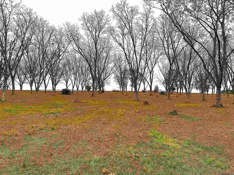 lot2 La Hwy 68, Jackson, LA 70748