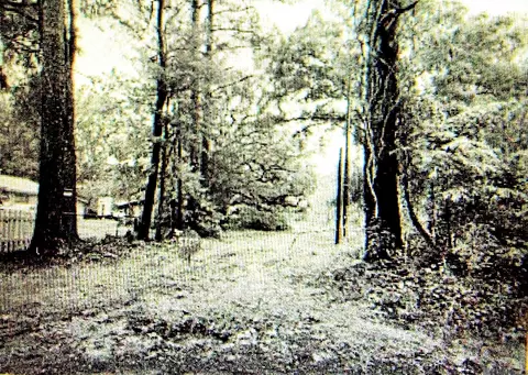 tbd Chemekette Rd, Robert, LA 70455 photo 4