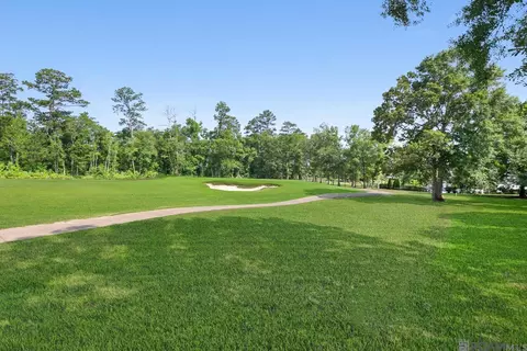 23815 Monarch Pt, Springfield, LA 70462 photo 20