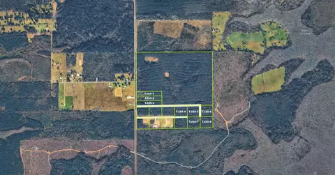tbd Old Frost Rd, Livingston, LA 70754