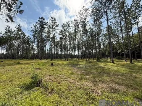 Other - 401 Montgomery Rd, Summit, MS 39666 photo 5 of 17