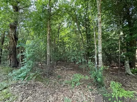 Other - 401 Montgomery Rd, Summit, MS 39666 photo 6 of 17