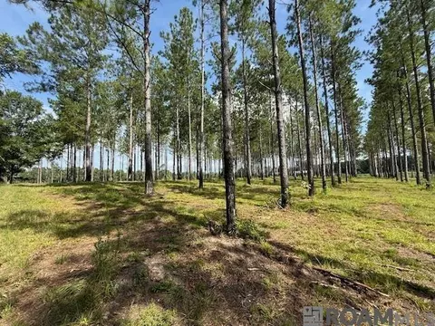Other - 401 Montgomery Rd, Summit, MS 39666 photo 3 of 17