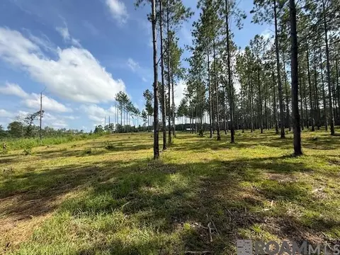 Other - 401 Montgomery Rd, Summit, MS 39666 photo 4 of 17