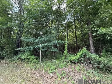 Other - 401 Montgomery Rd, Summit, MS 39666 photo 7 of 17