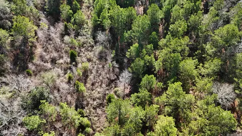 La Hwy 28 E, Boyce, LA 71409 photo 12