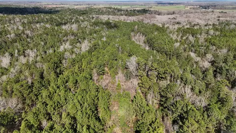 La Hwy 28 E, Boyce, LA 71409 photo 5