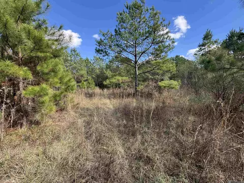 La Hwy 28 E, Boyce, LA 71409 photo 36