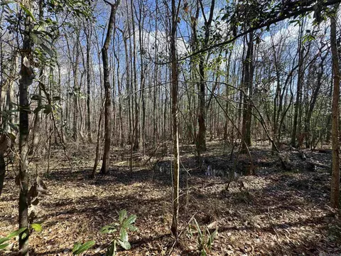 La Hwy 28 E, Boyce, LA 71409 photo 23