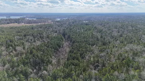 La Hwy 28 E, Boyce, LA 71409 photo 11