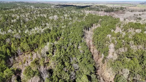 La Hwy 28 E, Boyce, LA 71409 photo 6