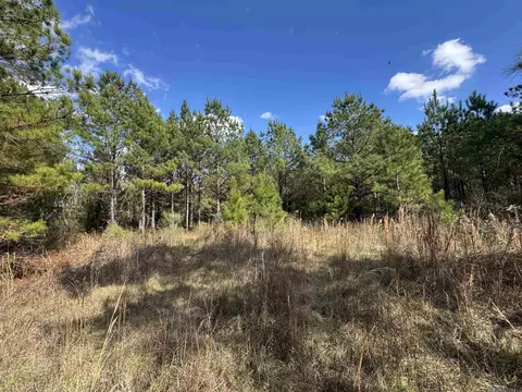 La Hwy 28 E, Boyce, LA 71409 photo 37