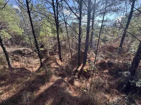 La Hwy 28 E, Boyce, LA 71409 photo 15