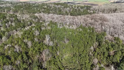 La Hwy 28 E, Boyce, LA 71409 photo 8