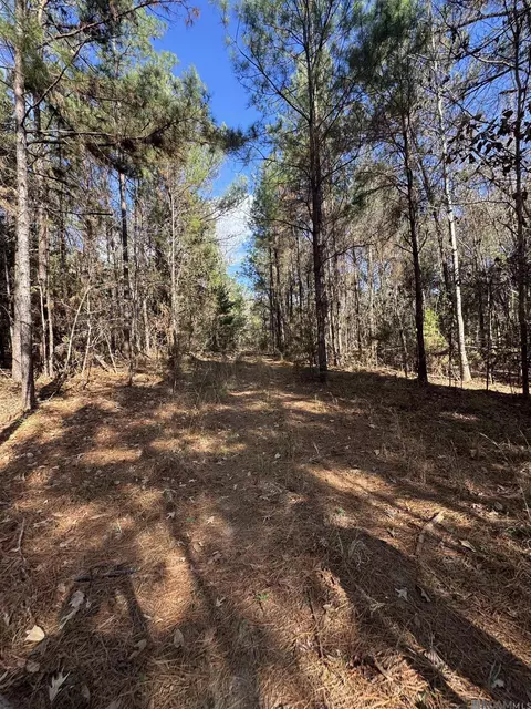 La Hwy 28 E, Boyce, LA 71409 photo 14