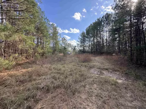 La Hwy 28 E, Boyce, LA 71409 photo 43