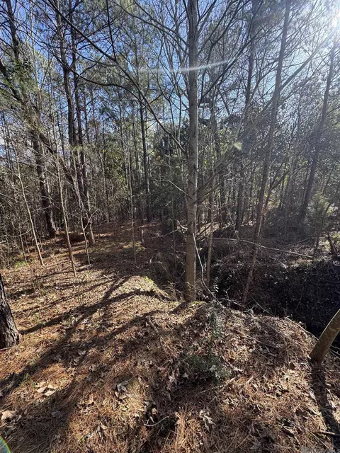 La Hwy 28 E, Boyce, LA 71409 photo 16
