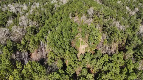 La Hwy 28 E, Boyce, LA 71409 photo 4