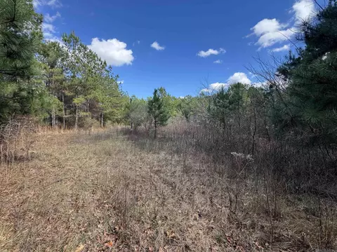 La Hwy 28 E, Boyce, LA 71409 photo 35