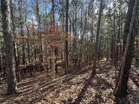 La Hwy 28 E, Boyce, LA 71409 photo 30