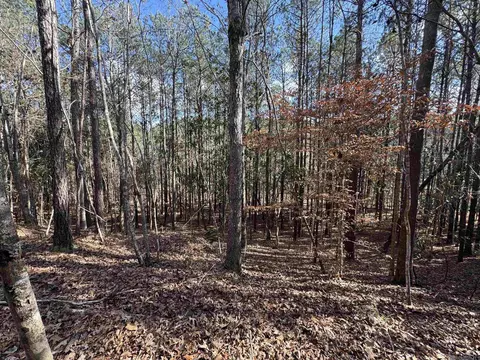 La Hwy 28 E, Boyce, LA 71409 photo 29
