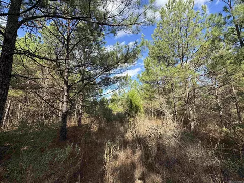 La Hwy 28 E, Boyce, LA 71409 photo 39