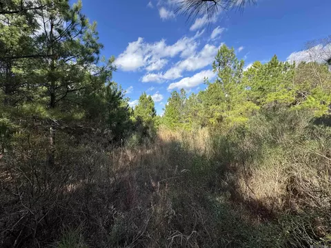 La Hwy 28 E, Boyce, LA 71409 photo 40