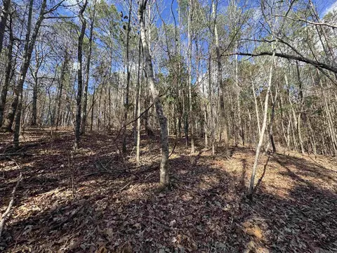 La Hwy 28 E, Boyce, LA 71409 photo 31