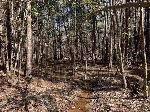 La Hwy 28 E, Boyce, LA 71409 photo 21