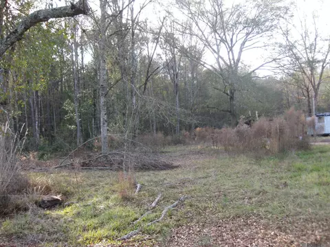 14413 Springfield Rd, Walker, LA 70785 photo 5