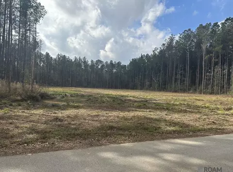 lot37 Nesom Rd, Denham Springs, LA 70453