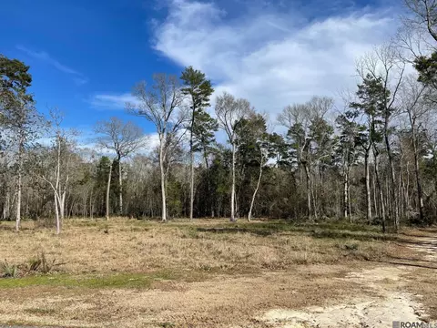 lot8 Ridgeway Ave, Denham Springs, LA 70726