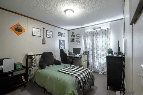 32730 Bill Williams Rd, Walker, LA 70785 photo 10